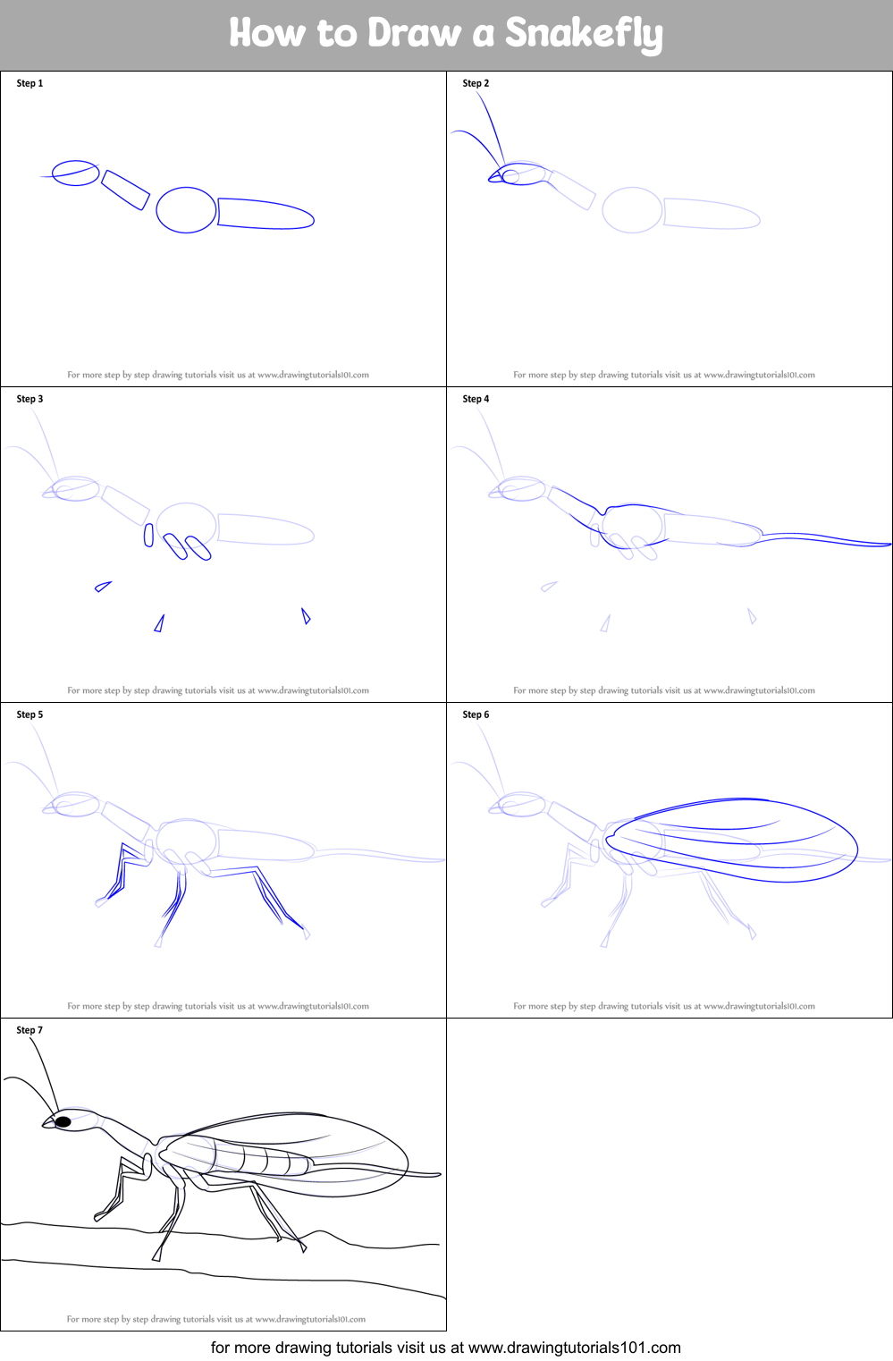 How to Draw a Snakefly Printable Step by Step
