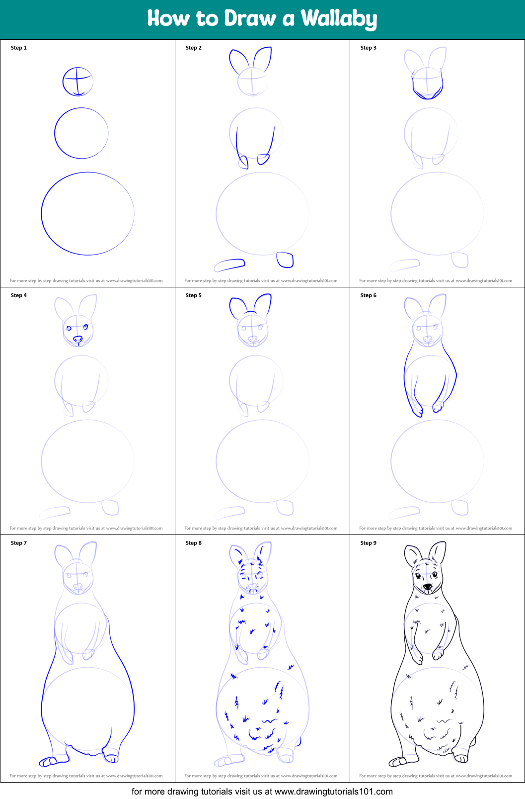 How to Draw a Wallaby Printable Step by Step