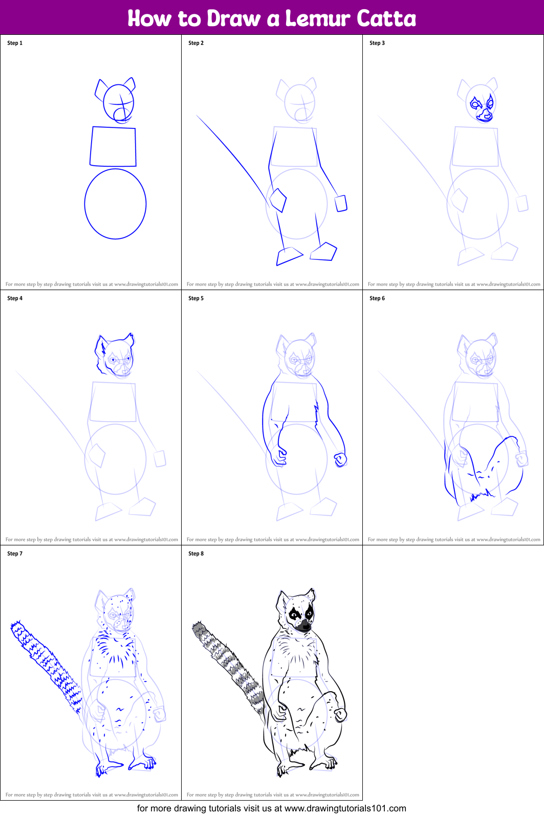 How to Draw a Lemur Catta Printable Step by Step
