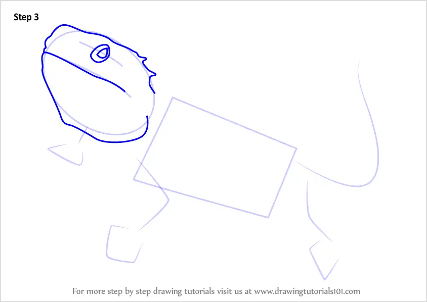 Learn How to Draw a Bearded Dragon (Lizards) Step by Step : Drawing