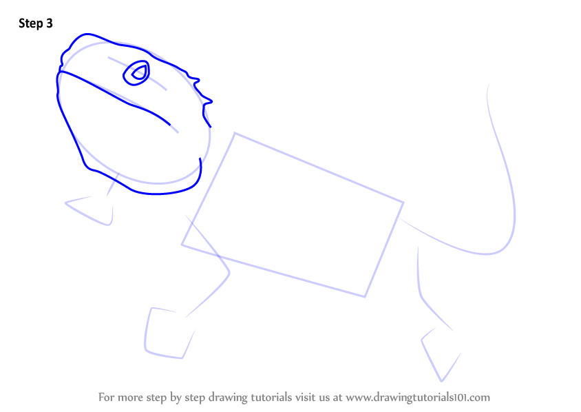 Learn How to Draw a Bearded Dragon (Lizards) Step by Step : Drawing