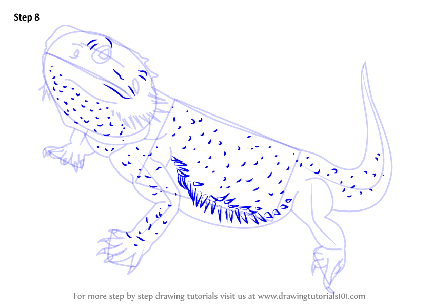 Learn How to Draw a Bearded Dragon (Lizards) Step by Step : Drawing