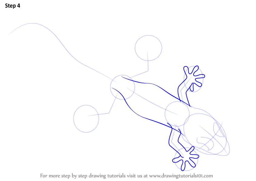 Step by Step How to Draw a Gecko : DrawingTutorials101.com