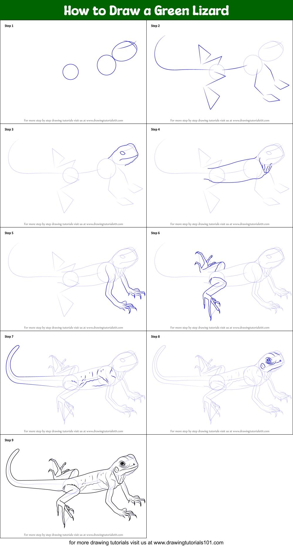 How to Draw a Green Lizard Printable Step by Step