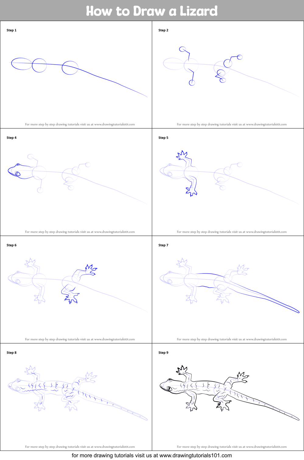 How to Draw a Lizard printable step by step drawing sheet