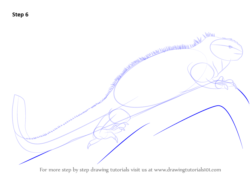 How to Draw a Marine Iguana (Lizards) Step by Step