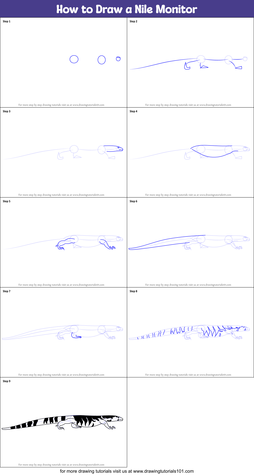 How to Draw a Nile Monitor Printable Step by Step
