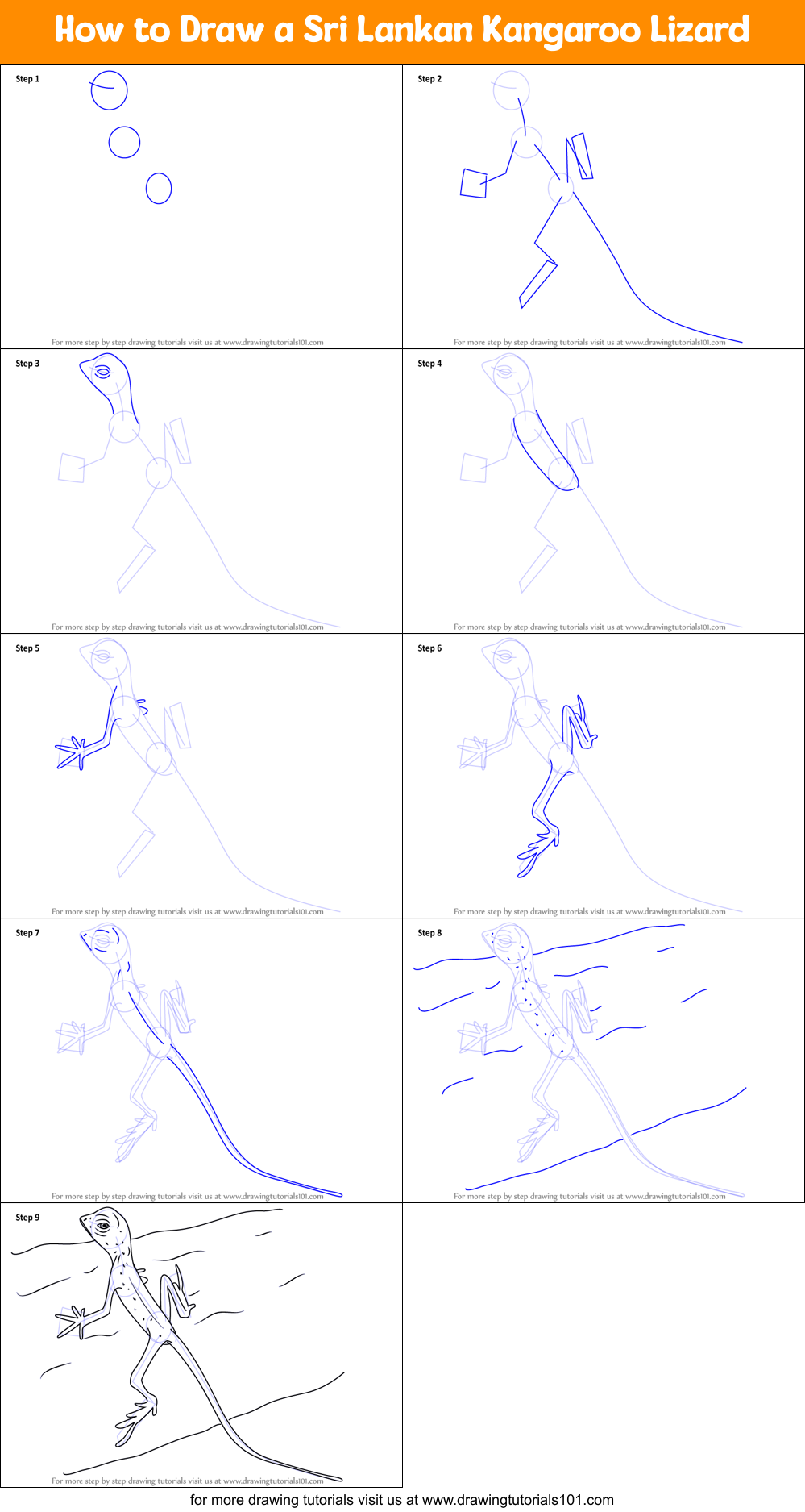 How to Draw a Sri Lankan Kangaroo Lizard Printable Step by Step