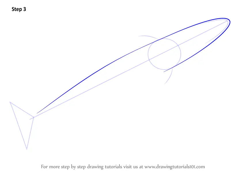 Download Learn How to Draw a Fin Whale (Marine Mammals) Step by ...