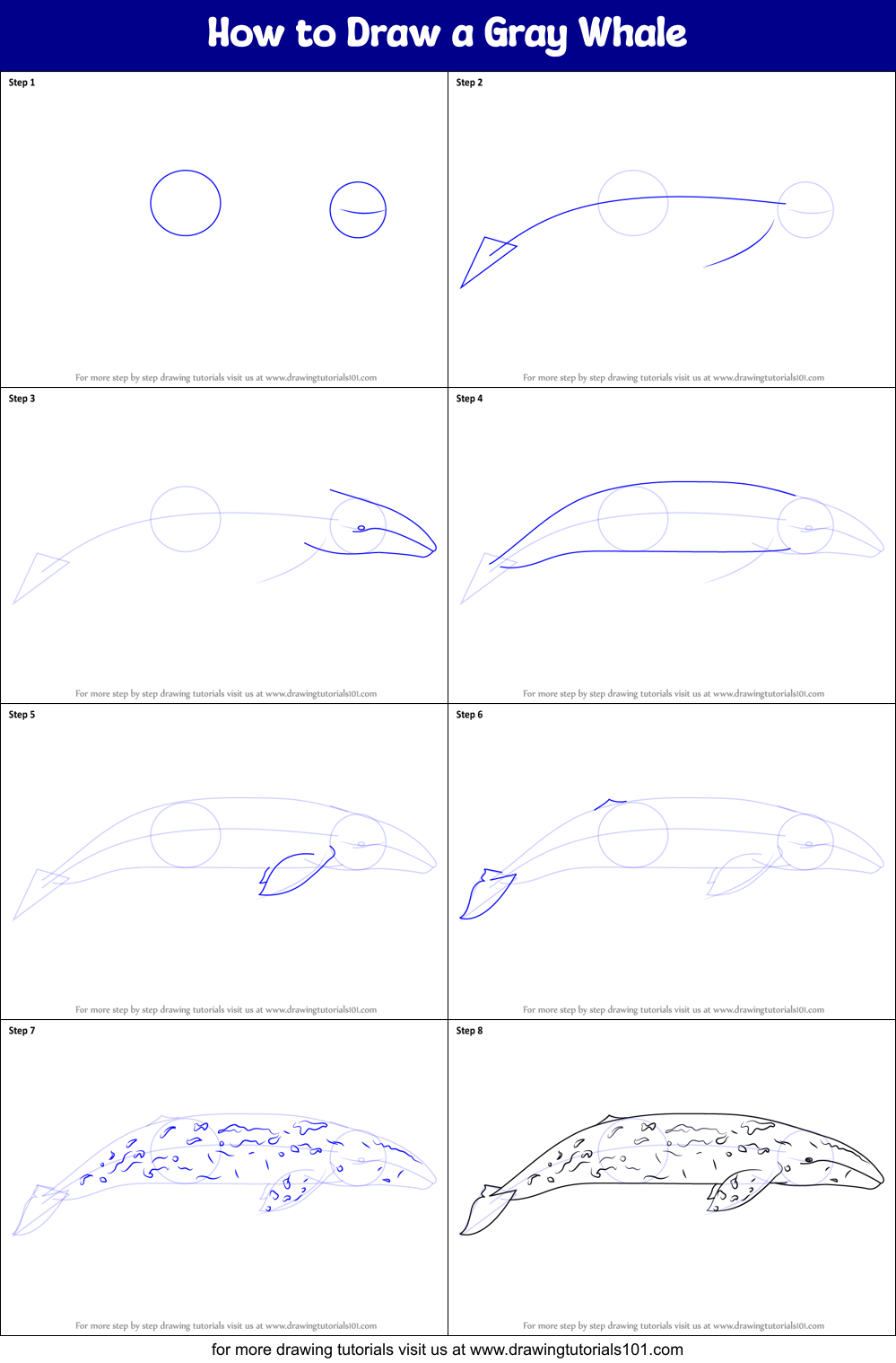 How to Draw a Gray Whale Printable Step by Step