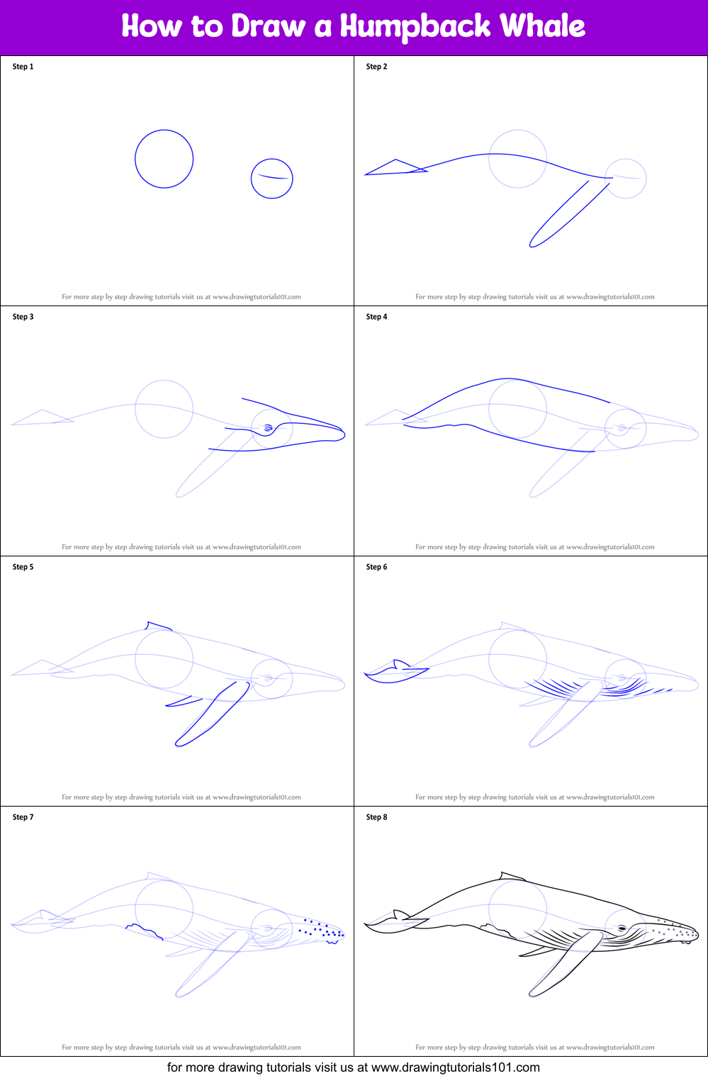 How to Draw a Humpback Whale step by step