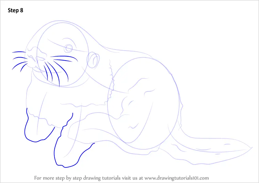 How To Draw A Sea Otter Easy