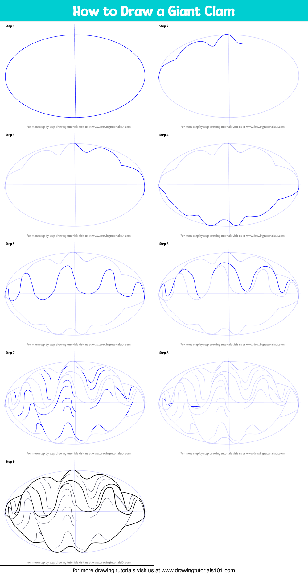 How to Draw a Giant Clam Printable Step by Step