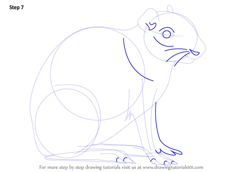 Learn How to Draw an Agouti (Other Animals) Step by Step : Drawing
