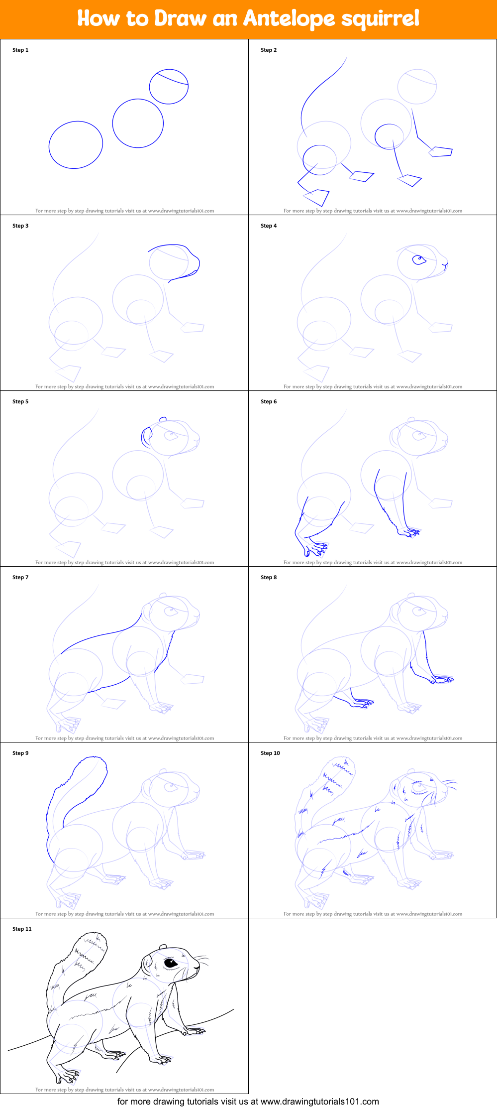 How to Draw an Antelope squirrel Printable Step by Step