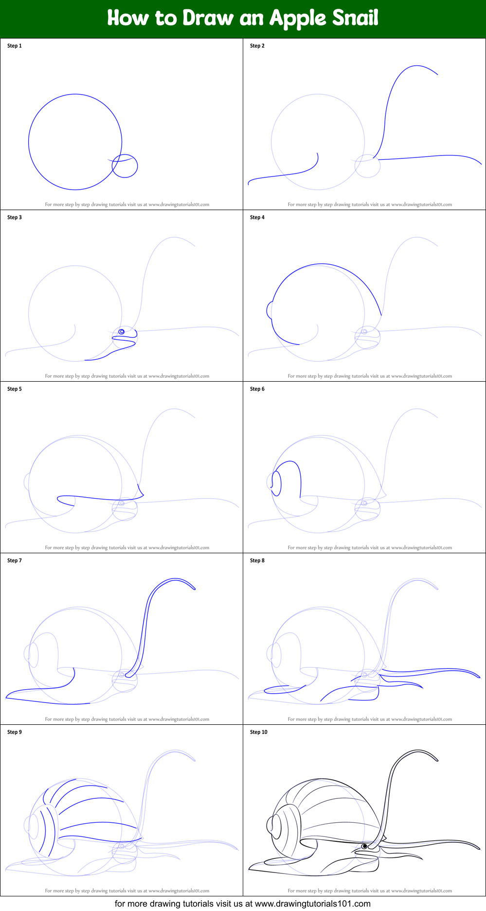 How to Draw an Apple Snail printable step by step drawing sheet