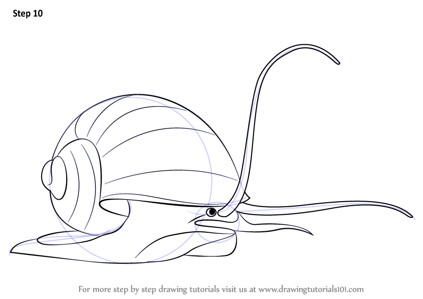 Learn How to Draw an Apple Snail (Other Animals) Step by Step : Drawing