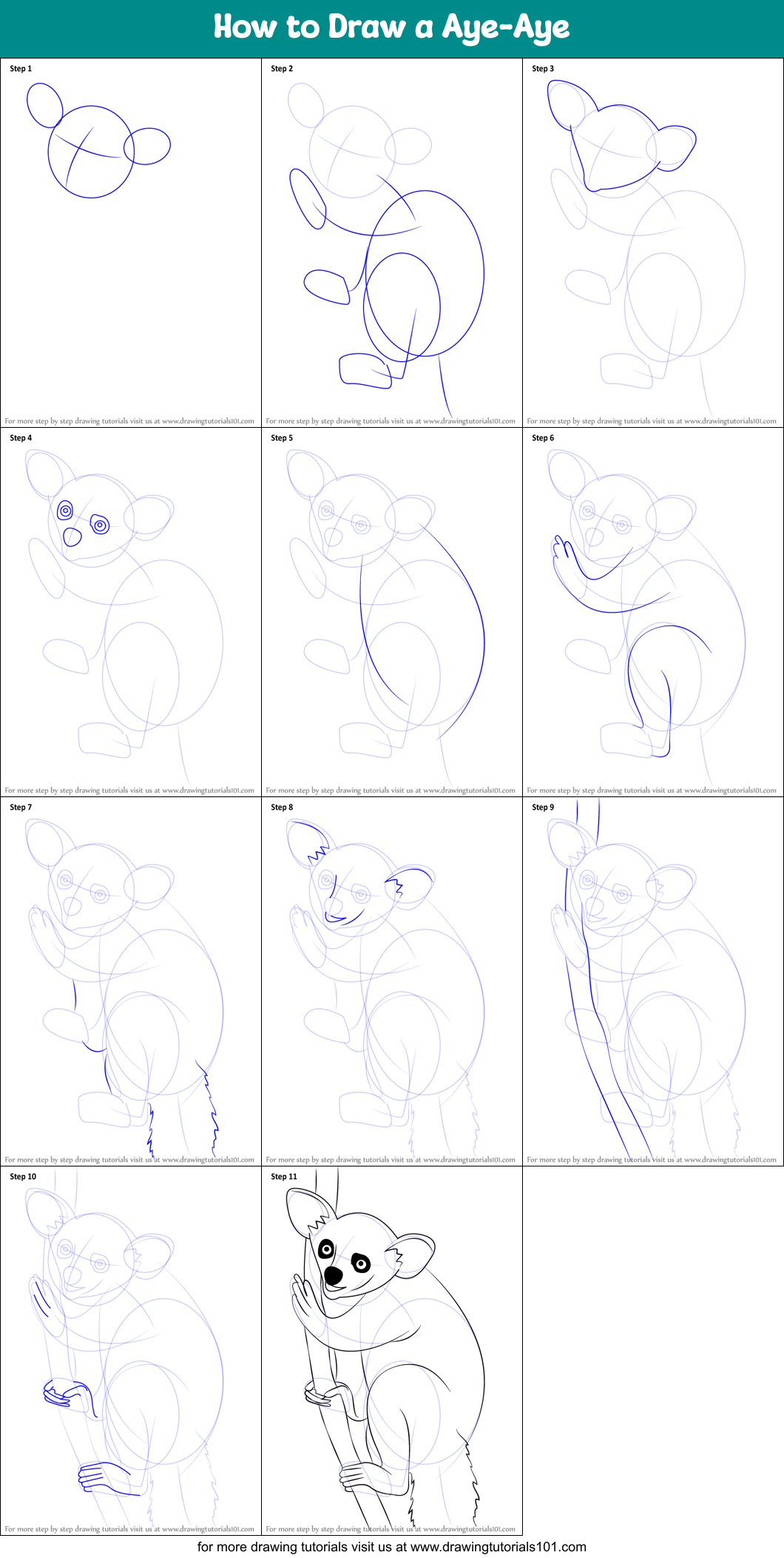 How to Draw a Aye-Aye Printable Step by Step