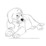 How to Draw a Bernese Mountain Dog