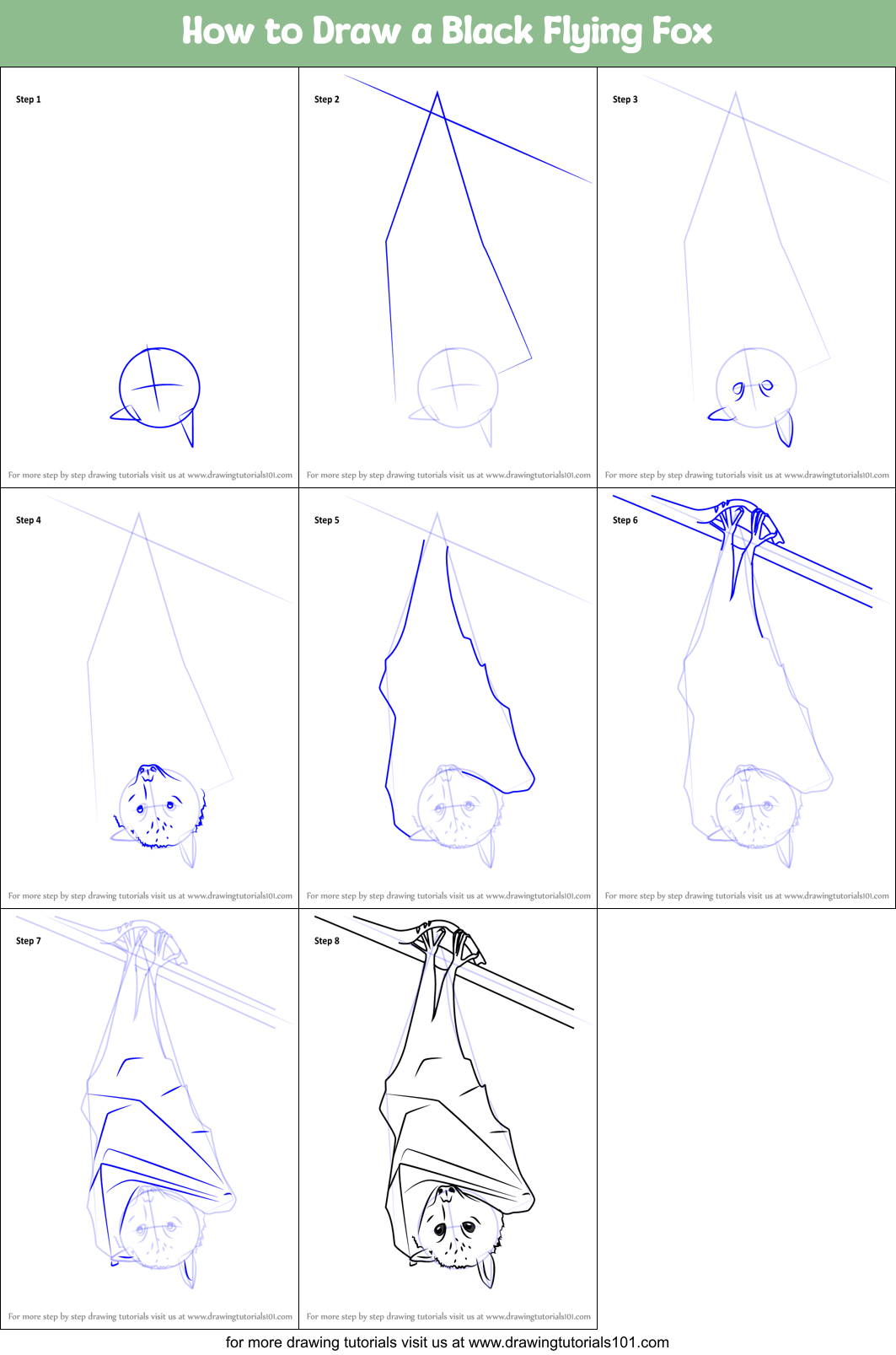 How to Draw a Black Flying Fox Printable Step by Step