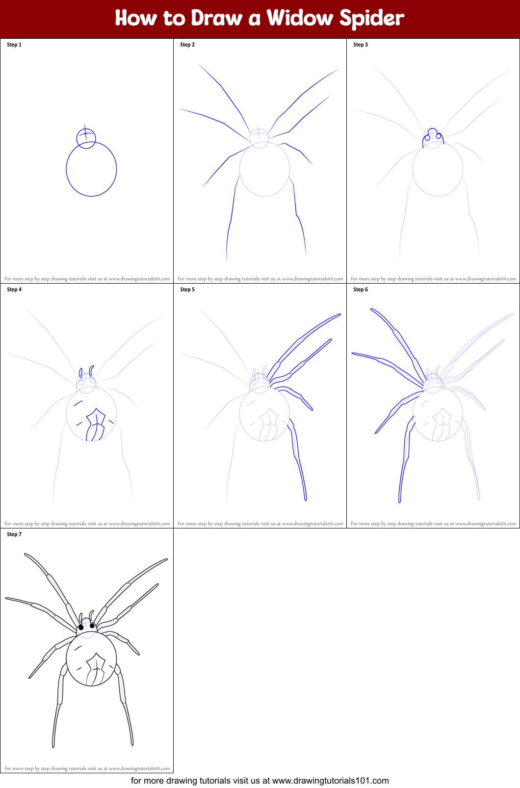 How to Draw a Widow Spider Printable Step by Step