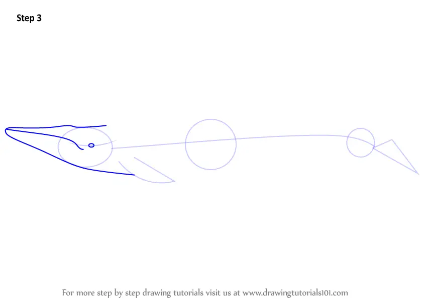 Learn How to Draw a Blue Whale (Other Animals) Step by Step : Drawing
