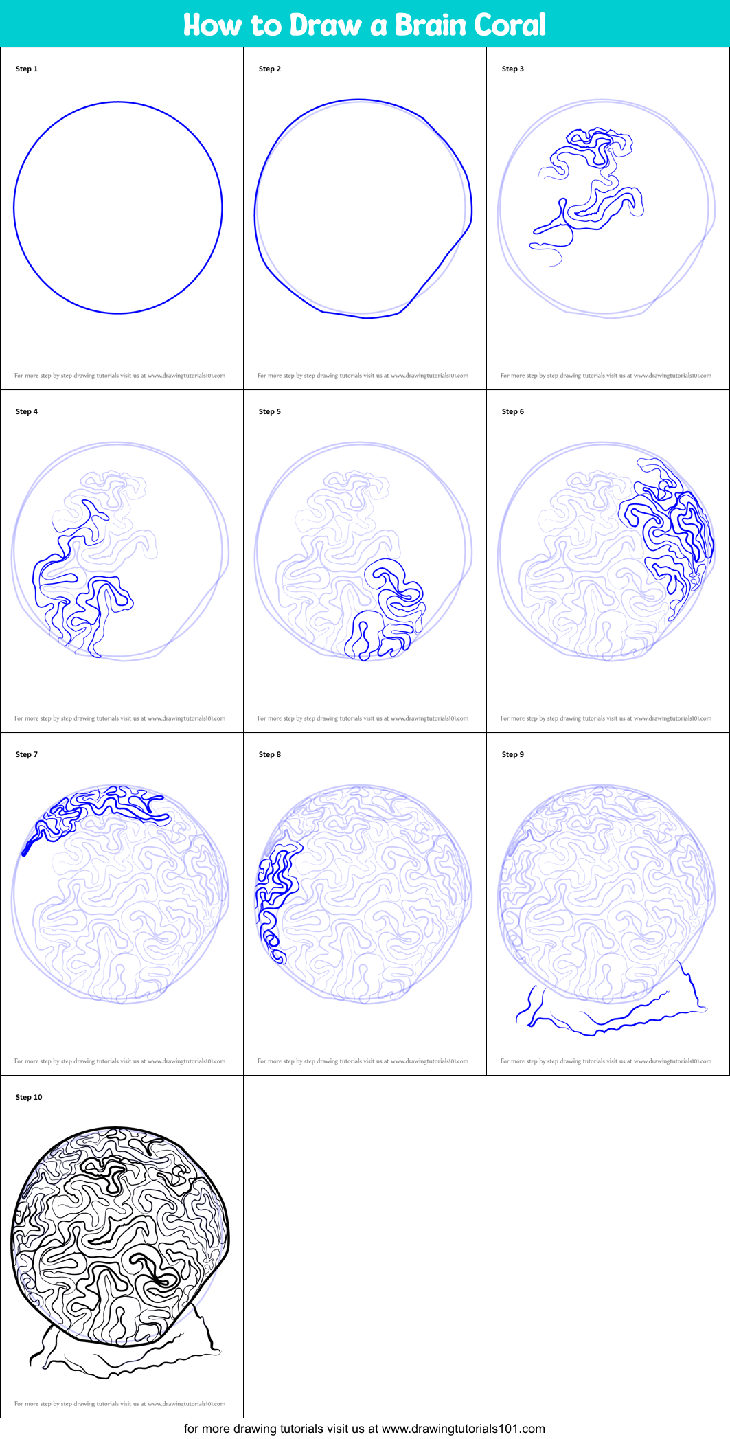 How to Draw a Brain Coral Printable Step by Step