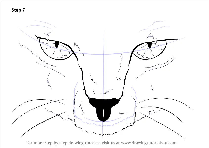 Learn How to Draw Scary Cat Eyes (Other Animals) Step by Step : Drawing  Tutorials
