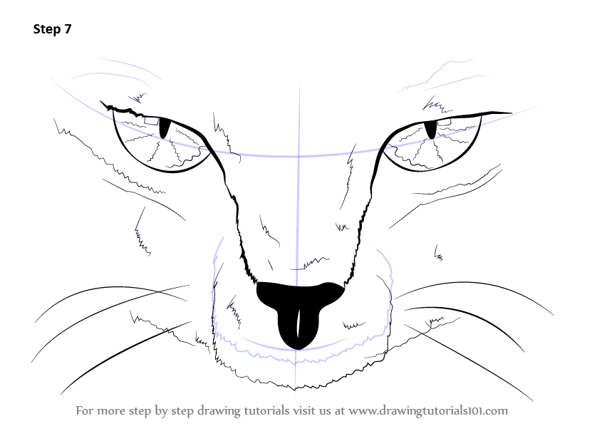 Step by Step How to Draw Scary Cat Eyes ... - 845 x 598 png 64kB