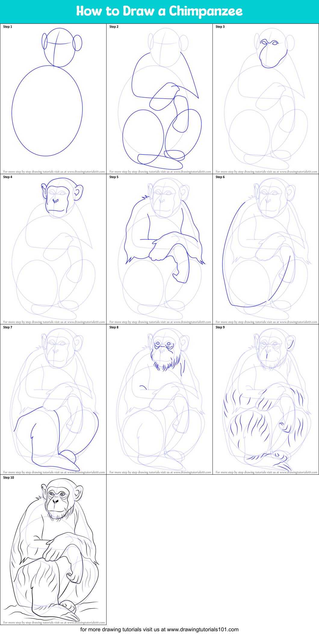 How to Draw a Chimpanzee Printable Step by Step