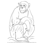 How to Draw a Chimpanzee