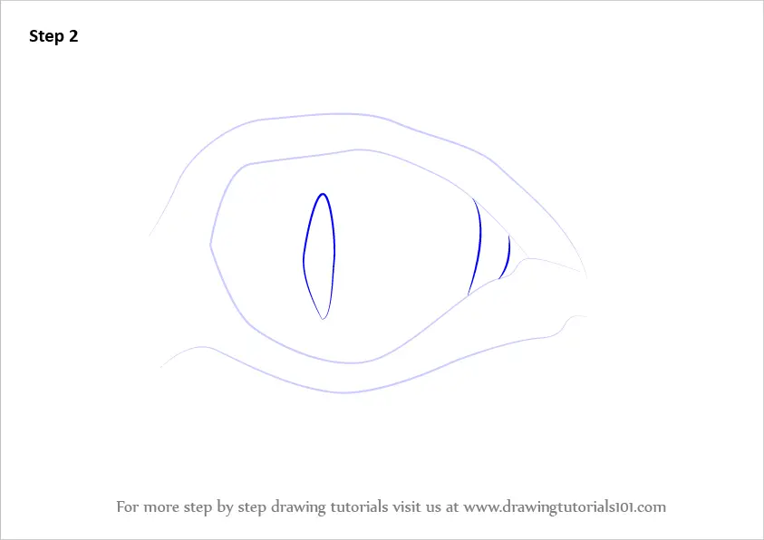 wolf animal eye drawing - Clip Art Library
