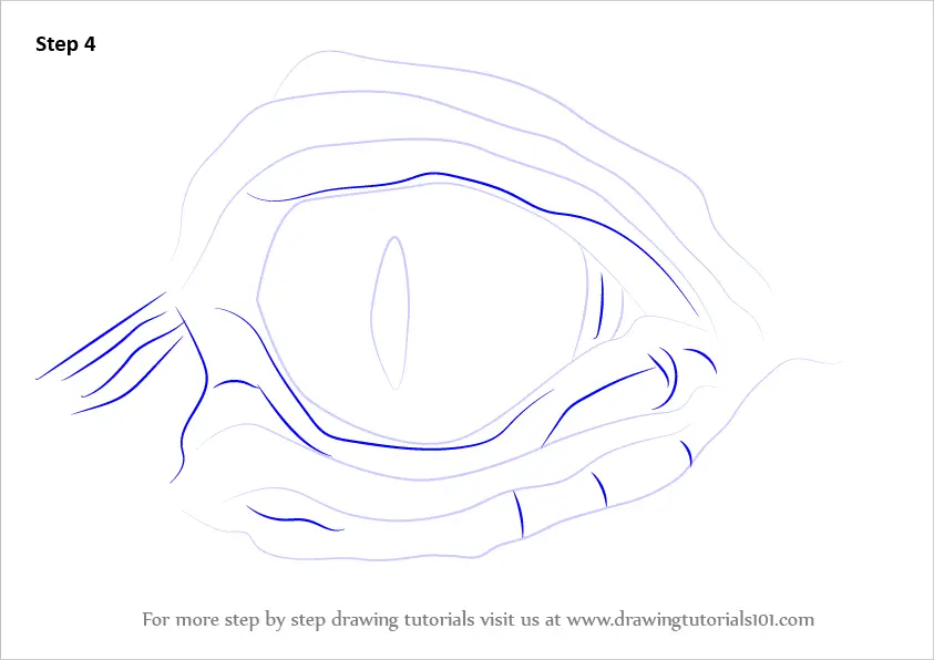 Learn How to Draw Crocodile Eyes (Other Animals) Step by Step : Drawing