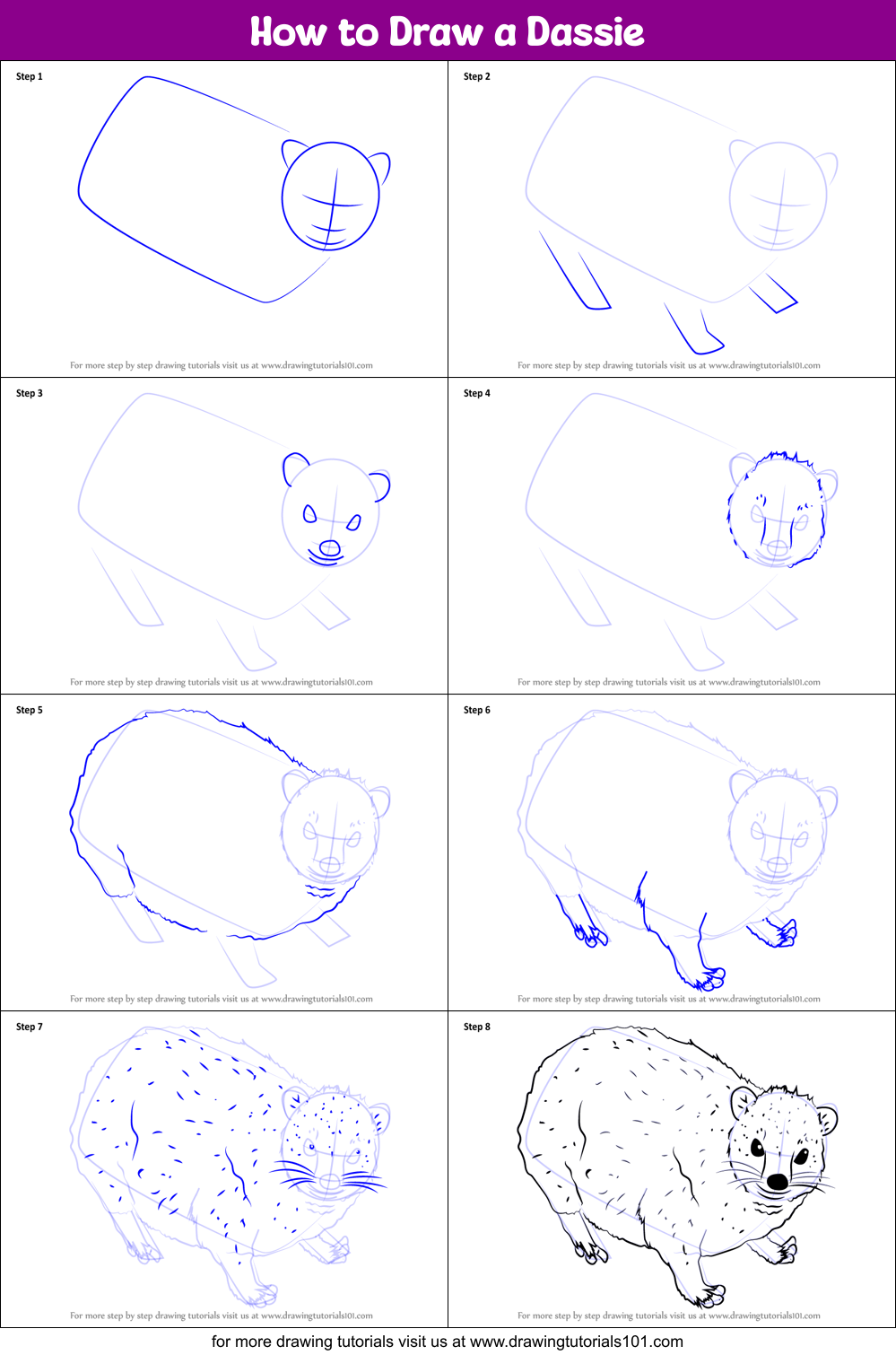 How to Draw a Dassie Printable Step by Step
