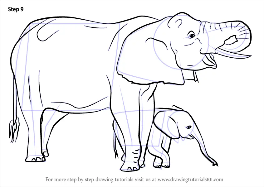 Baby elephant and Mother elephant drawing easy | How to draw A Baby elephant  simply - YouTube