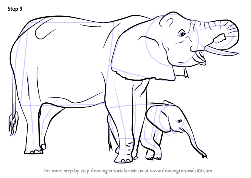 11,412 Baby Animals Pencil Drawing Images, Stock Photos & Vectors |  Shutterstock