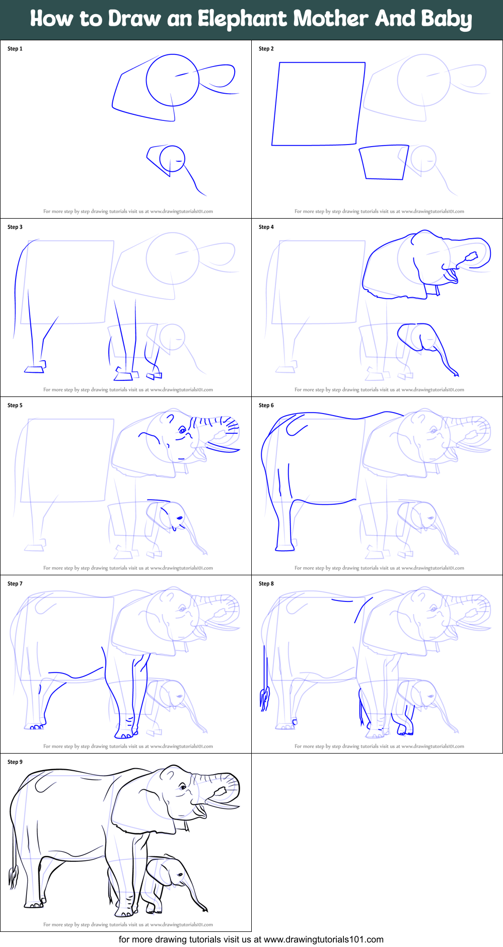 How to Draw an Elephant Mother And Baby Printable Step by Step