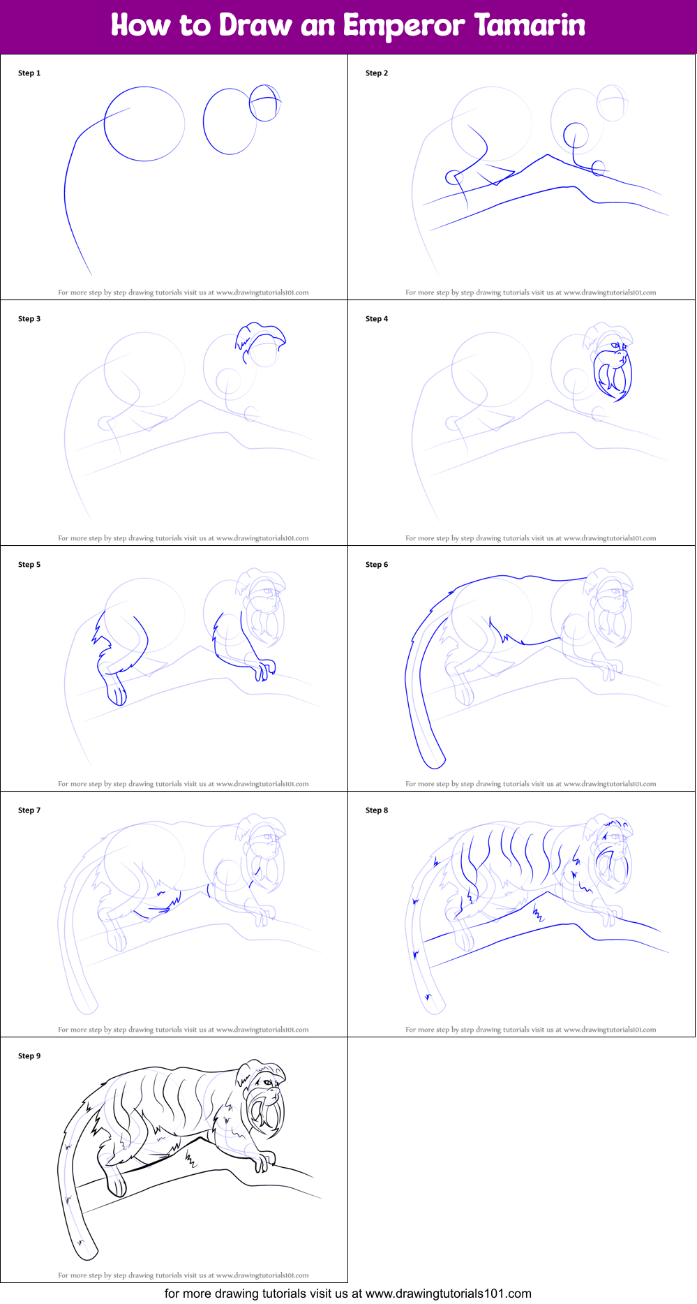 How to Draw an Emperor Tamarin Printable Step by Step