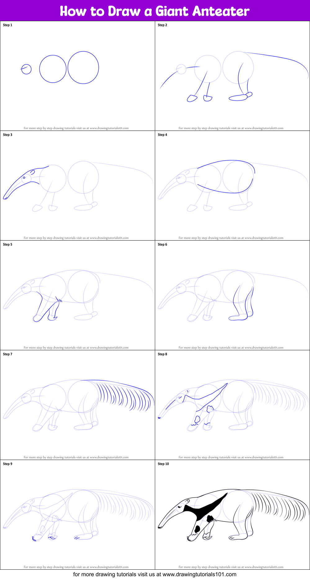 How to Draw a Giant Anteater Printable Step by Step