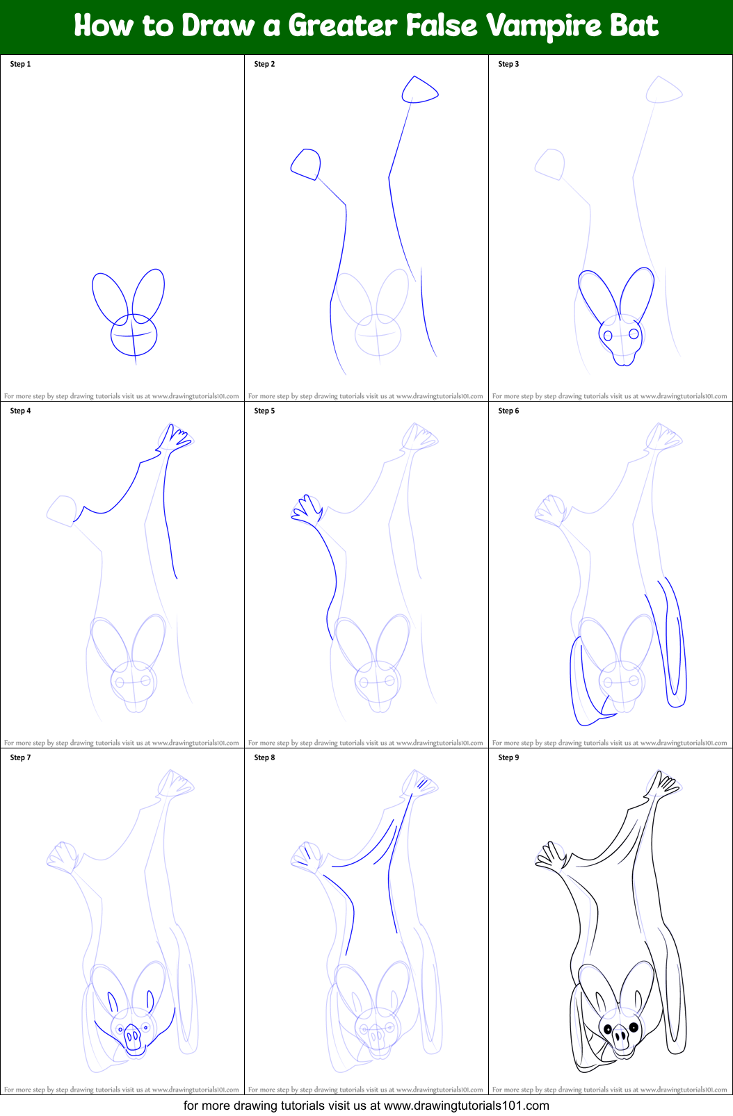 How to Draw a Greater False Vampire Bat Printable Step by Step