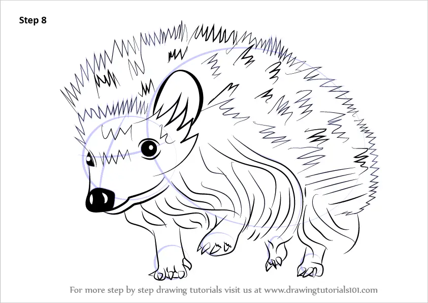 Learn How to Draw a Hedgehog (Other Animals) Step by Step : Drawing  Tutorials