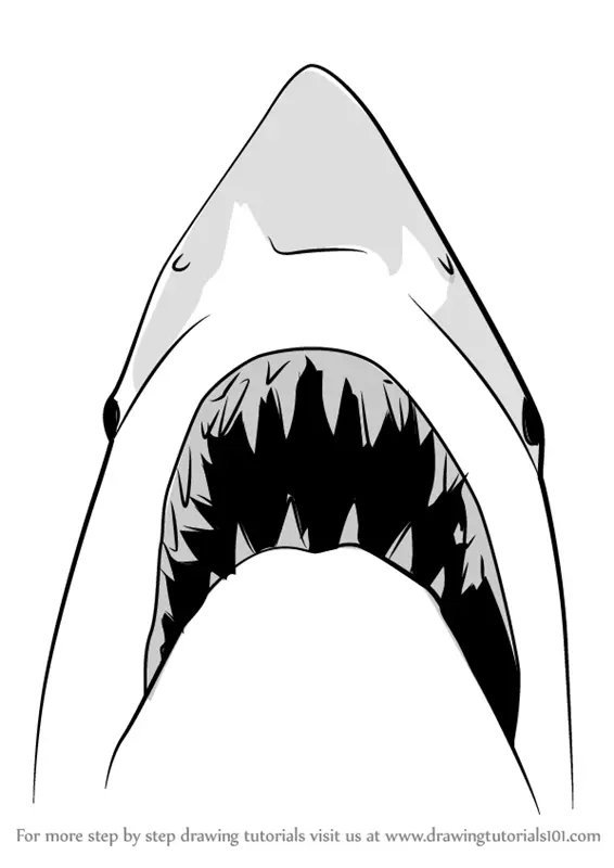 Learn How to Draw Jaws Shark (Other Animals) Step by Step Drawing