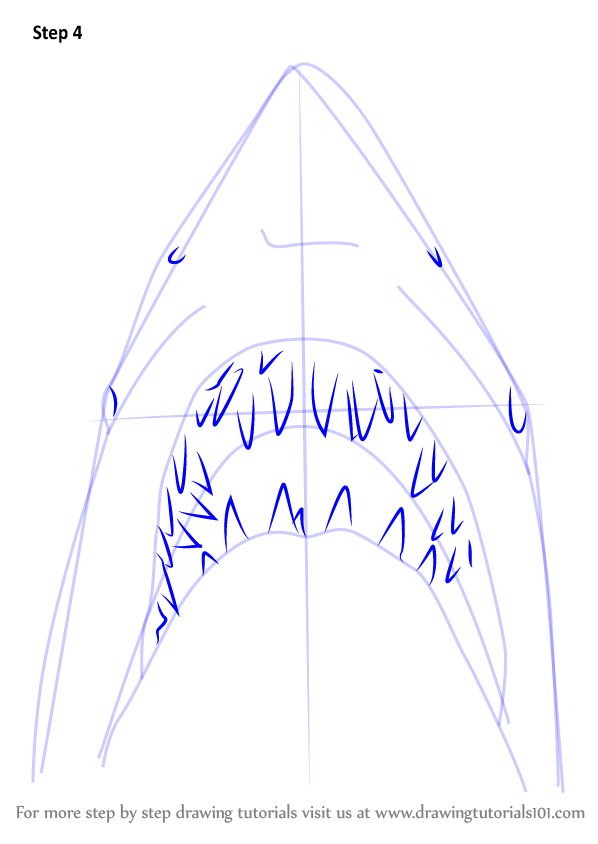 Learn How to Draw Jaws Shark (Other Animals) Step by Step : Drawing