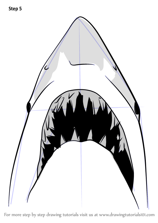 Learn How to Draw Jaws Shark (Other Animals) Step by Step : Drawing Tutorials