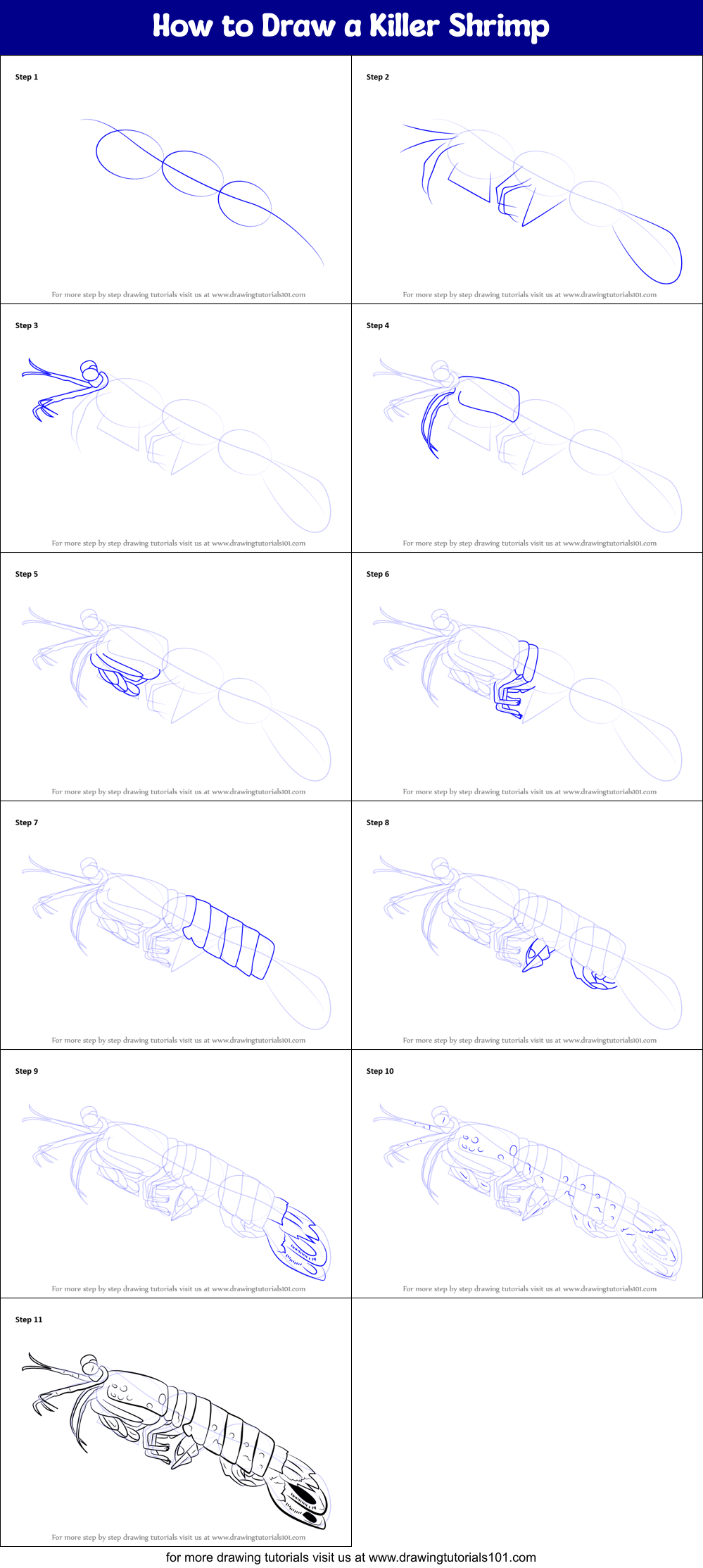 How to Draw a Killer Shrimp Printable Step by Step