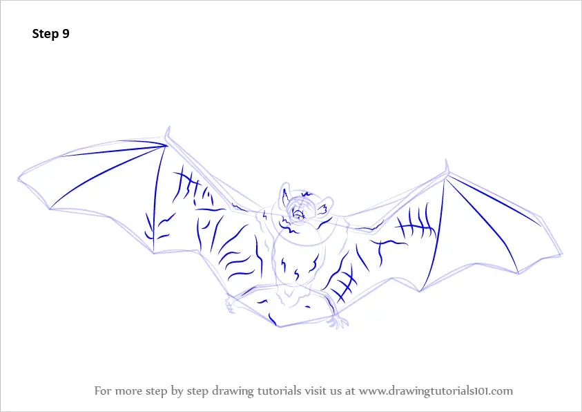 Spotted Bat coloring page | Free Printable Coloring Pages