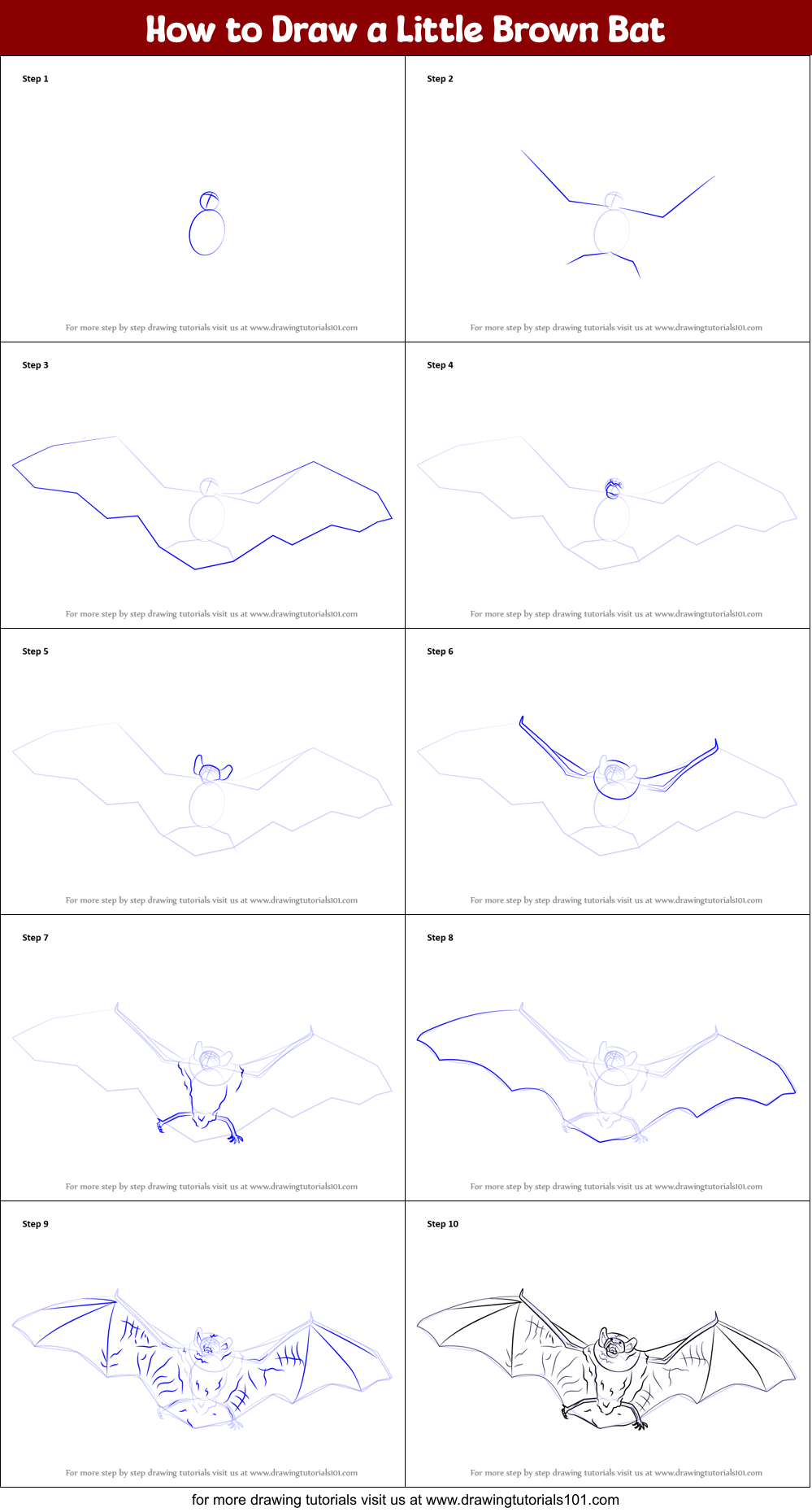 How to Draw a Little Brown Bat Printable Step by Step
