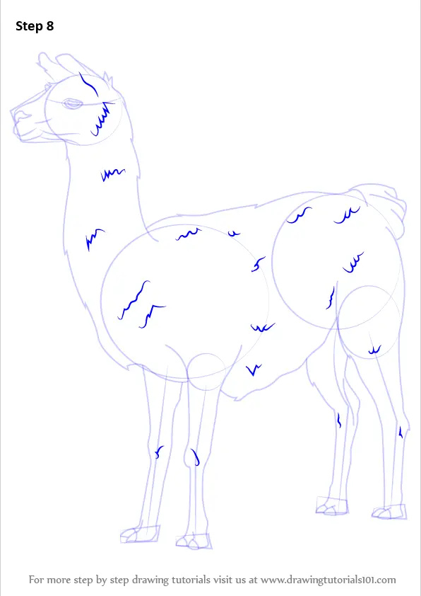 Learn How to Draw a Llama (Other Animals) Step by Step : Drawing Tutorials