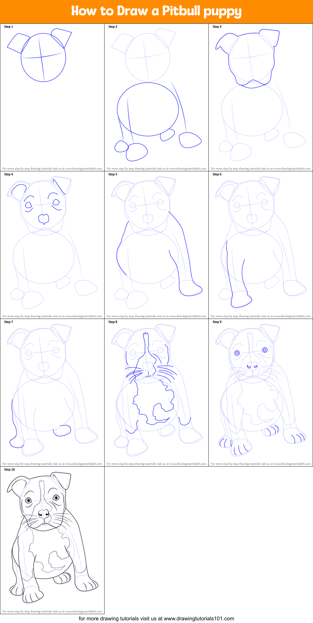 How to Draw a Pitbull puppy printable step by step drawing sheet