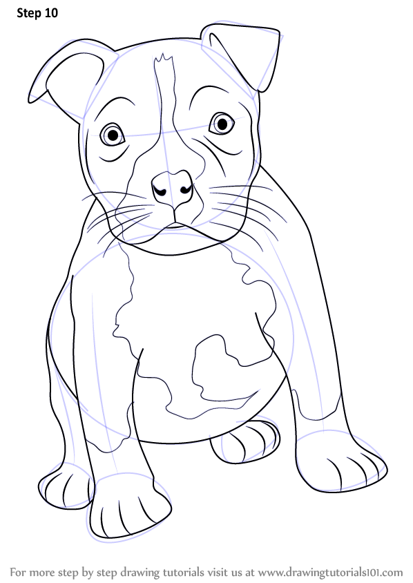 cute pitbull dog drawing